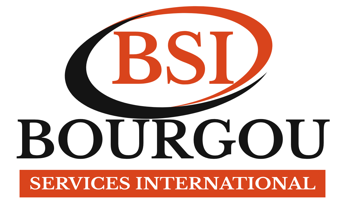 BSI – Bourgou Services International